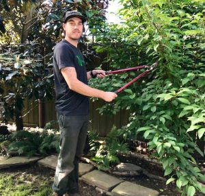 Garden Maintenance Portland Oregon
